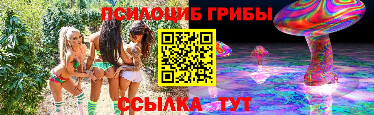Псилоцибиновые грибы Cubensis  Вход с VPN  Галлюциногенные грибы Psilocybine cubensis  Пятигорск 