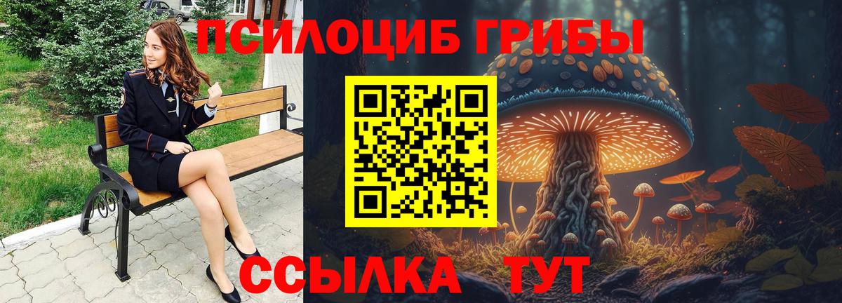 Псилоцибиновые грибы прущие грибы Пятигорск